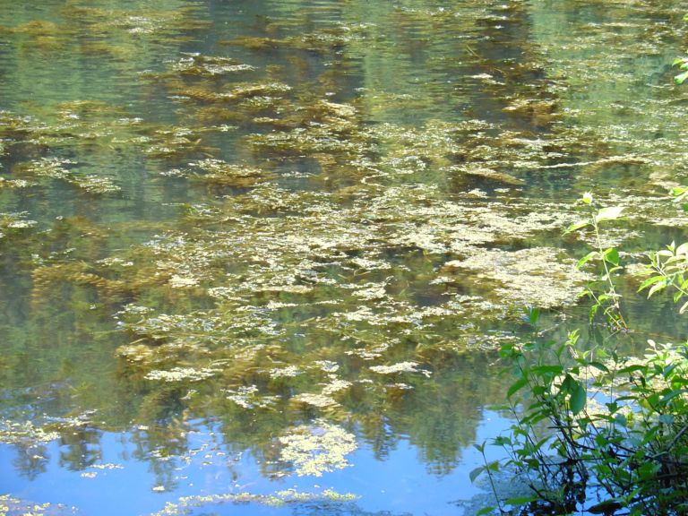 08_16_04-000007.jpg 124.2K