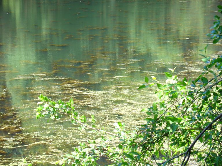 08_16_04-000009.jpg 111.3K