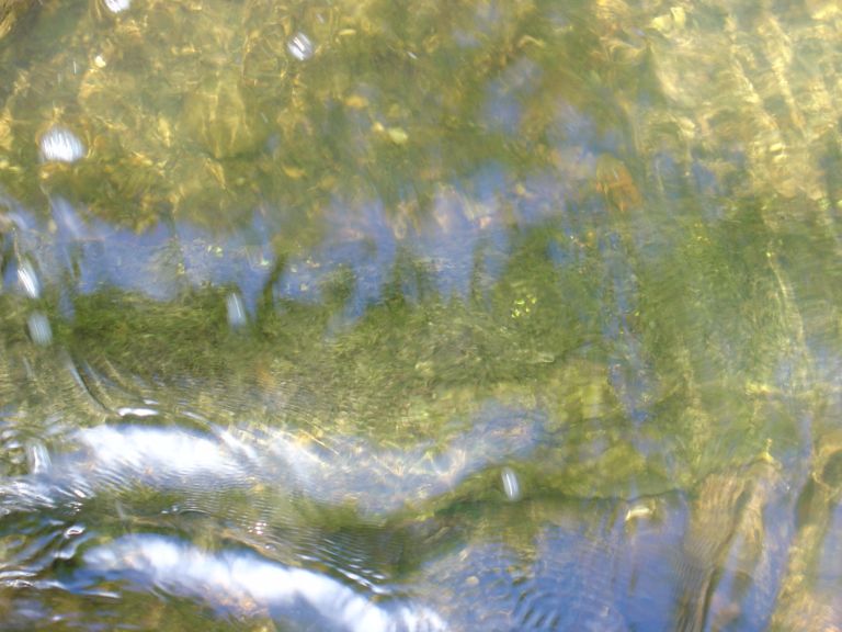 08_16_04-000014.jpg 70.3K