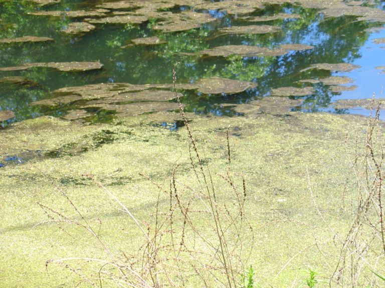 08_16_04-000016.jpg 116.1K
