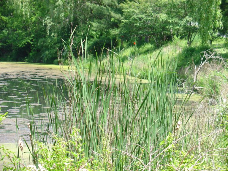 08_16_04-000017.jpg 142.3K