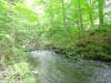 FC24_05_25_04-003.jpg 56.7K