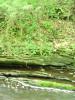 FC24_05_25_04-005.jpg 44.1K
