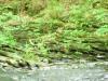 FC24_05_25_04-006.jpg 46.4K
