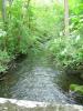 FC24_05_25_04-029.jpg 56.1K