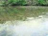 FC24_05_25_04-046.jpg 41.4K