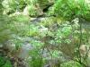 FC24_05_25_04-054.jpg 65.6K