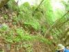 FC24_05_25_04-058.jpg 55.1K