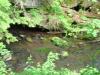 FC24_05_25_04-059.jpg 42.9K