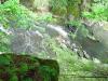 FC24_05_25_04-061.jpg 54.7K