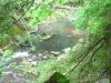 FC24_05_25_04-063.jpg 55.3K