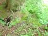 FC24_05_25_04-064.jpg 42.8K