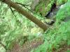 FC24_05_25_04-066.jpg 55.2K
