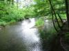 FC24_05_25_04-069.jpg 51.1K