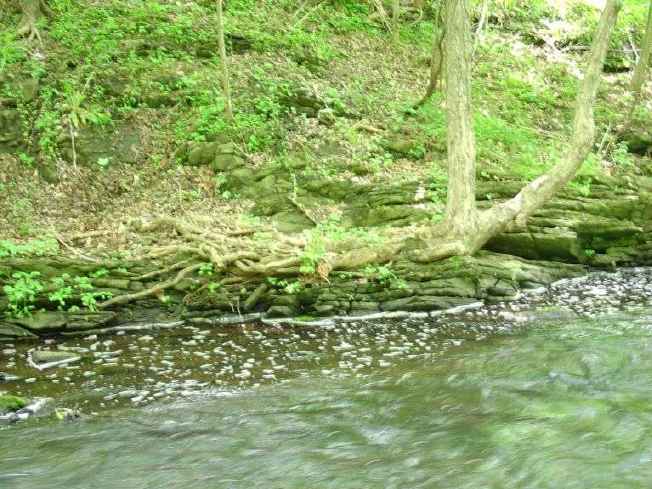 FC24_05_25_04-004.jpg 51.9K