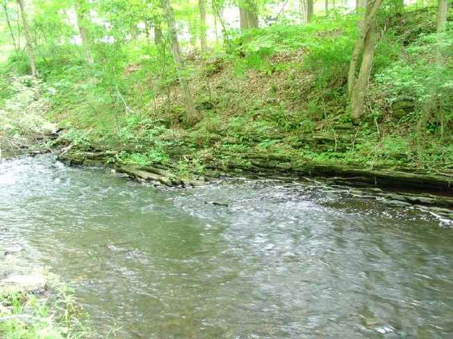 FC24_05_25_04-007.jpg 50.6K