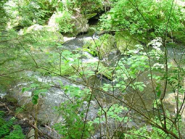 FC24_05_25_04-054.jpg 65.6K