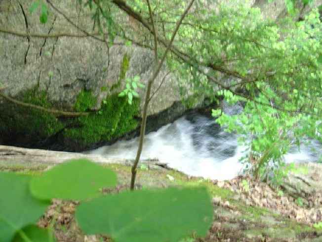 FC24_05_25_04-056.jpg 33.8K