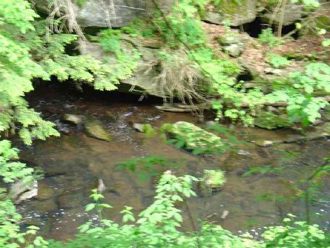 FC24_05_25_04-059.jpg 42.9K