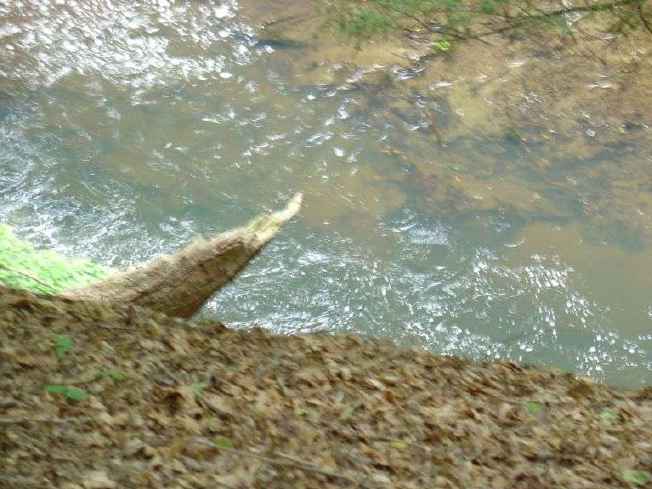 FC24_05_25_04-062.jpg 37.2K