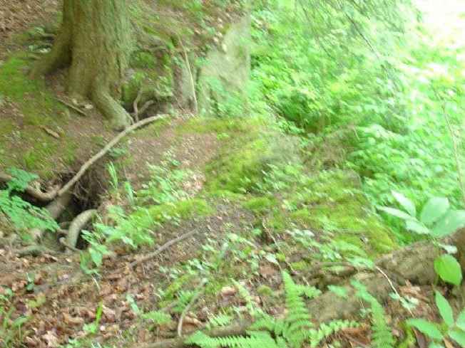 FC24_05_25_04-064.jpg 42.8K