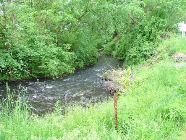 FC24_05_25_04-076.jpg 54.8K