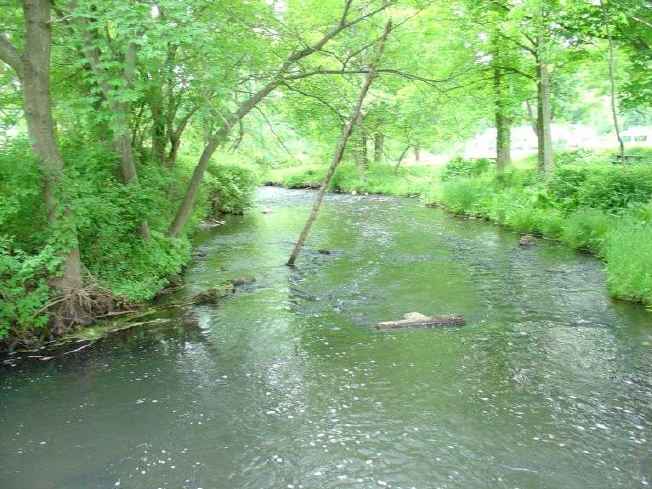 FC24_05_25_04-080.jpg 43.4K