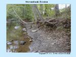 SWResults_Slide10.jpg 80.6K