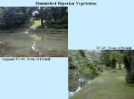SWResults_Slide11.jpg 58.6K