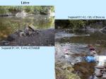 SWResults_Slide13.jpg 76.8K